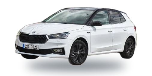 Skoda Fabia — выкуп в Томске